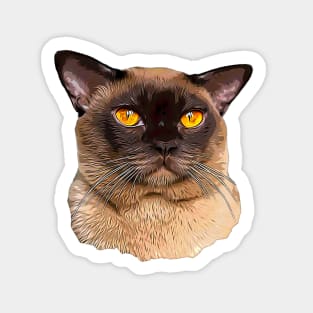 Burmese Cat Sticker